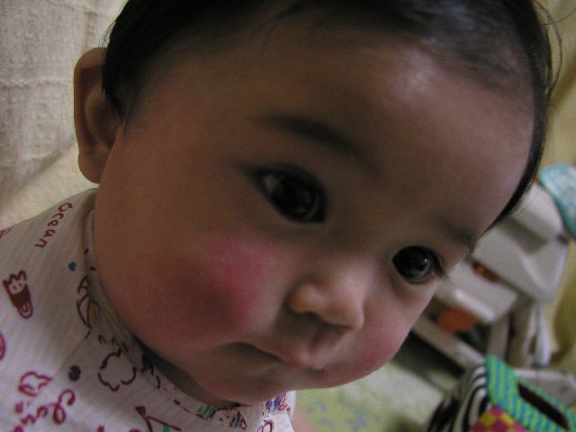 �����]�ʐ^��