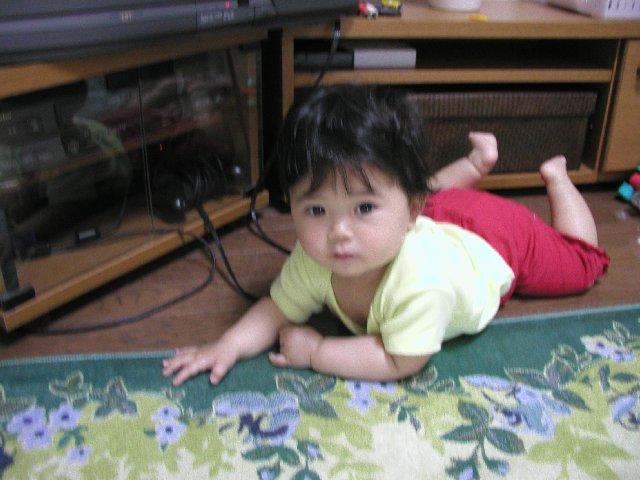 ���ʐ^����������Q