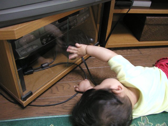 ���ʐ^����������P