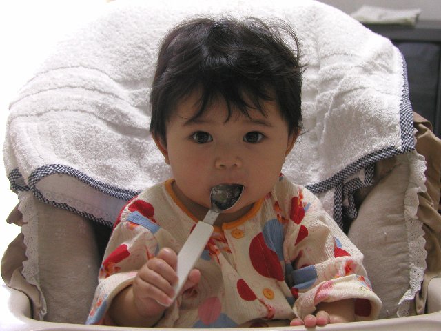 <写真>ごちそうさま