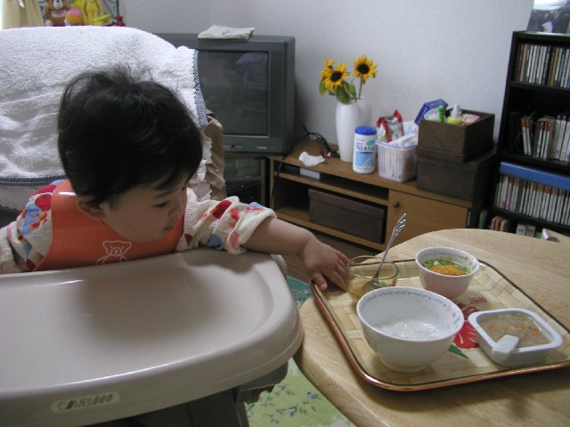 ���ʐ^����������