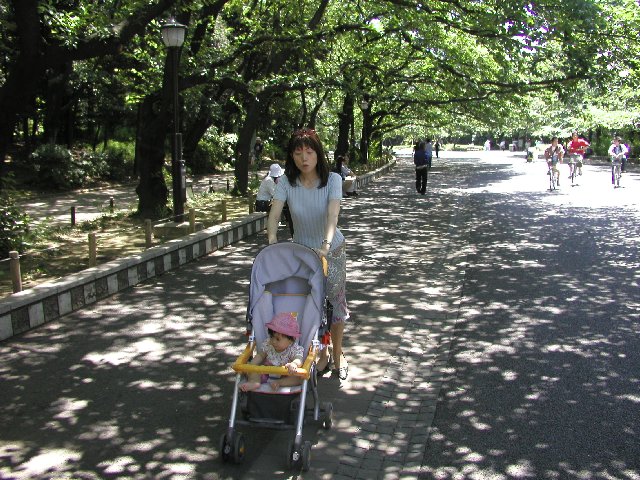 ���ʐ^��������