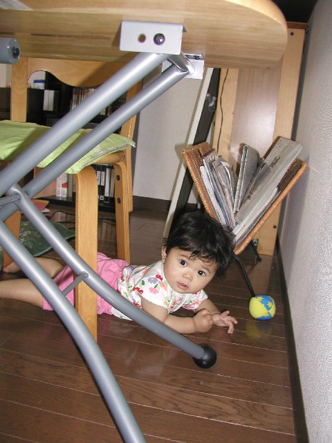 ���ʐ^�@�͂��͂���