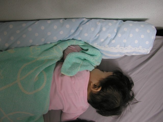 ���ʐ^������