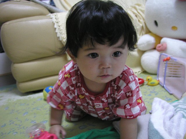 ���ʐ^���͂��͂�